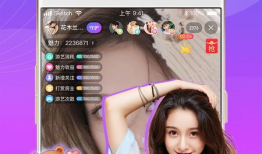 91直播看看,揭秘热门直播平台的魅力与挑战