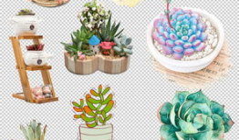 漫画肉多,探寻美食背后的故事与情感