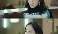 两位吃瓜教授娱乐圈小说,两位教授的娱乐圈奇幻之旅